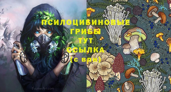 ECSTASY Саяногорск