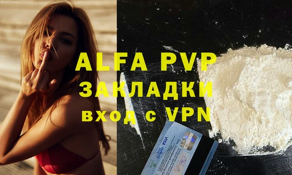 дмт Сатка