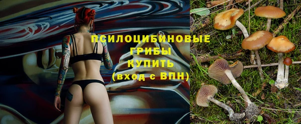 ECSTASY Саяногорск