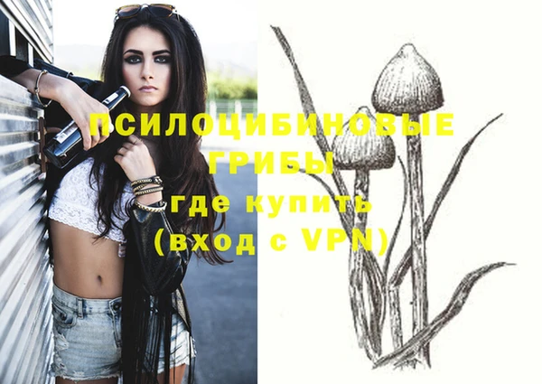 дмт Сафоново
