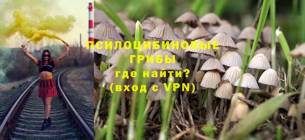 дмт Сатка