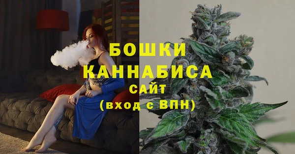 дмт Сатка