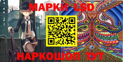 стафф Кинель