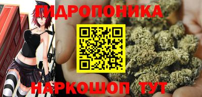 стафф Кинель