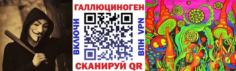 Псилоцибиновые грибы Psilocybe  Новомосковск 
