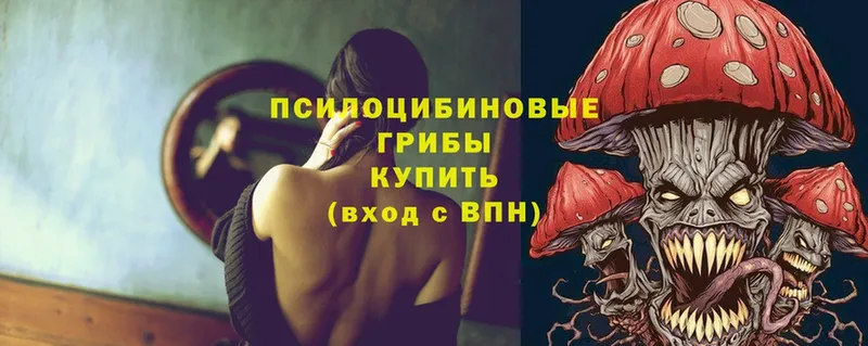 Псилоцибиновые грибы MAGIC MUSHROOMS  где найти   mega рабочий сайт  Новомосковск 