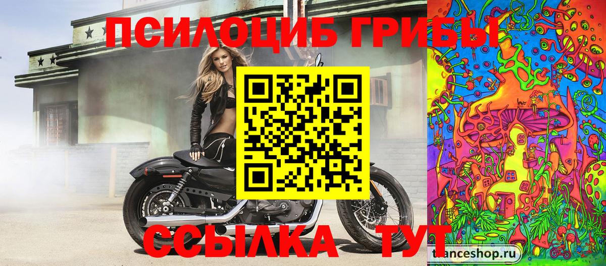 Галлюциногенные грибы прущие грибы Новомосковск