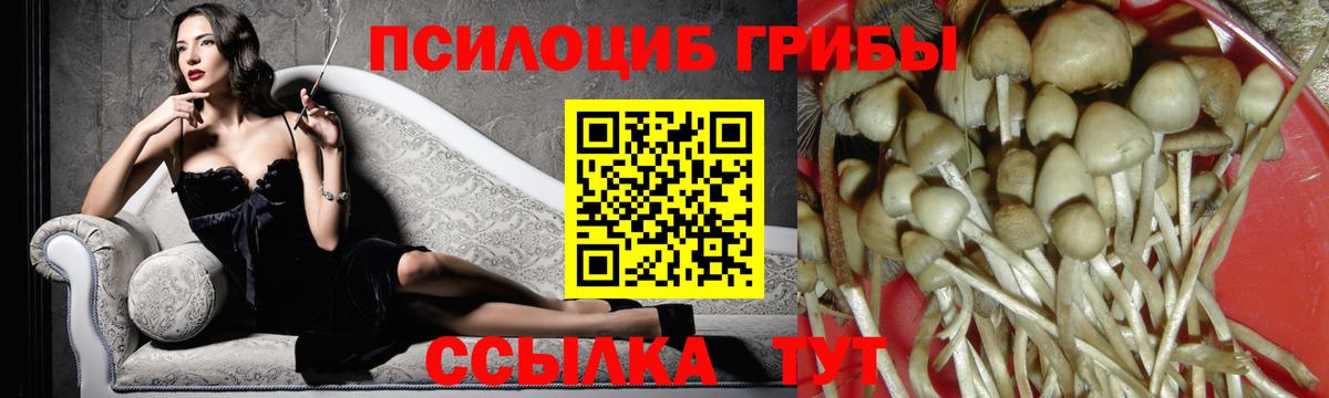 где можно купить наркотик  Новомосковск  Псилоцибиновые грибы MAGIC MUSHROOMS 
